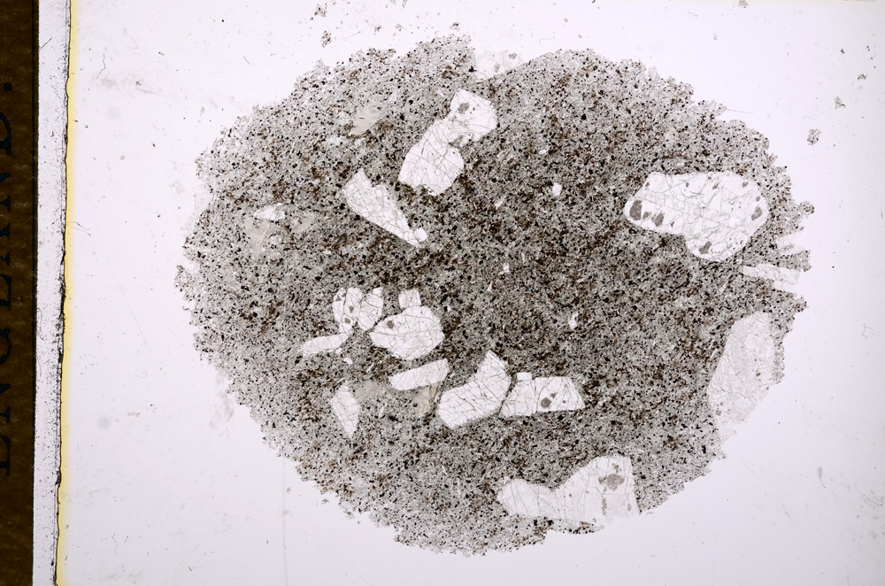 Plane Polarized, E14661