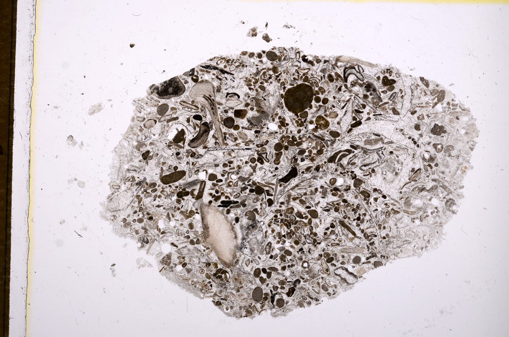 Plane Polarized, E14678