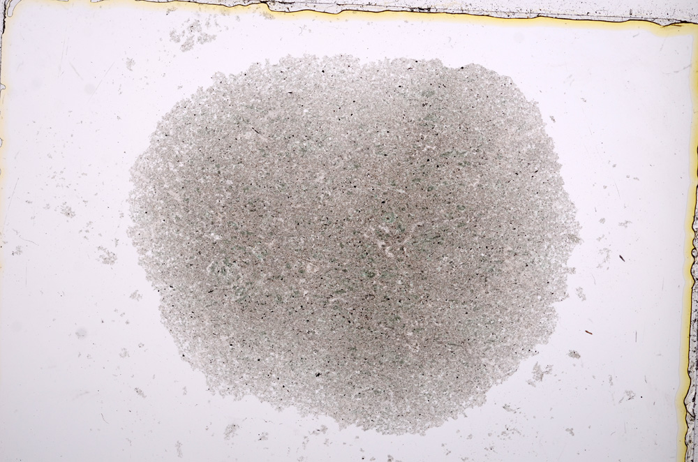 Plane Polarized, E14695