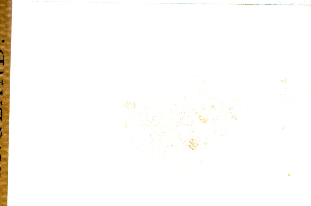 Plane Polarized, E14768