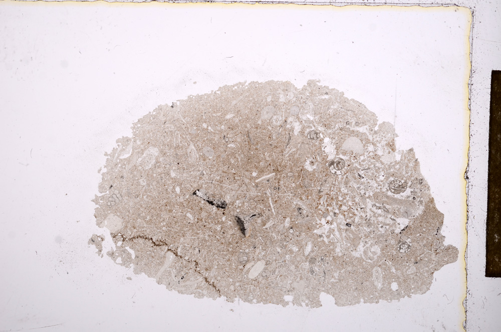 Plane Polarized, E14794