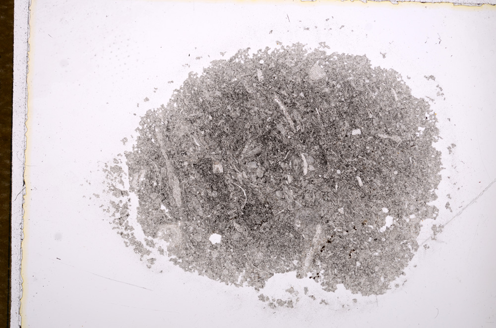 Plane Polarized, E14795