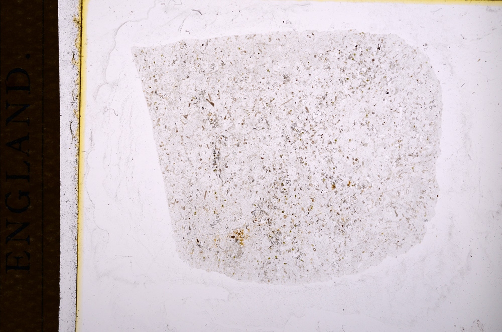 Plane Polarized, E14812