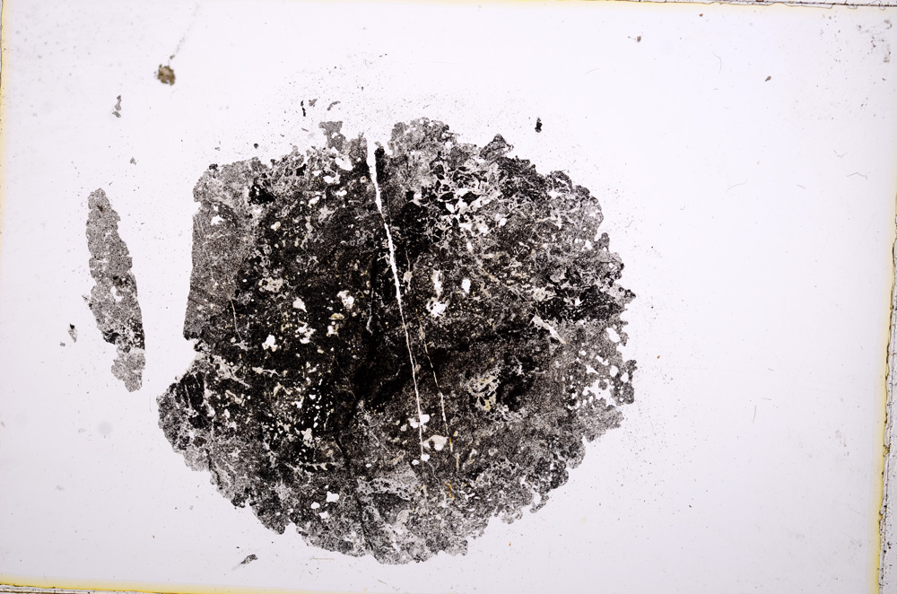 Plane Polarized, E14839