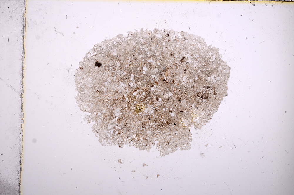 Plane Polarized, E14840