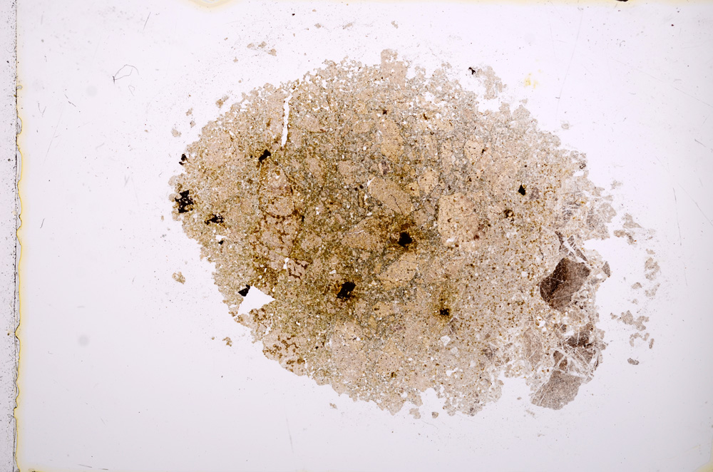 Plane Polarized, E14841