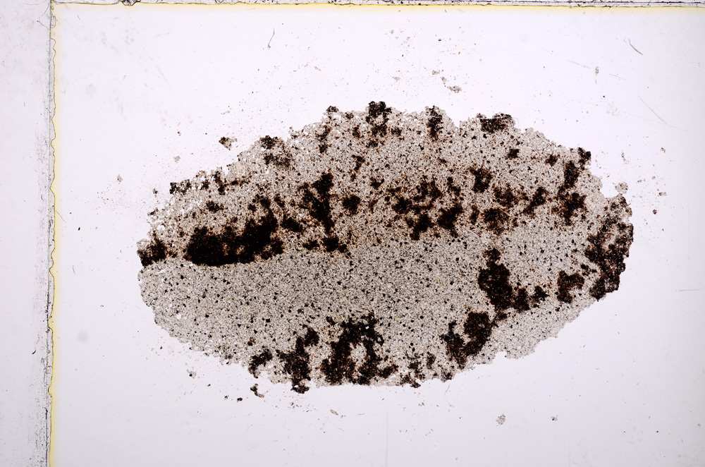 Plane Polarized, E14842