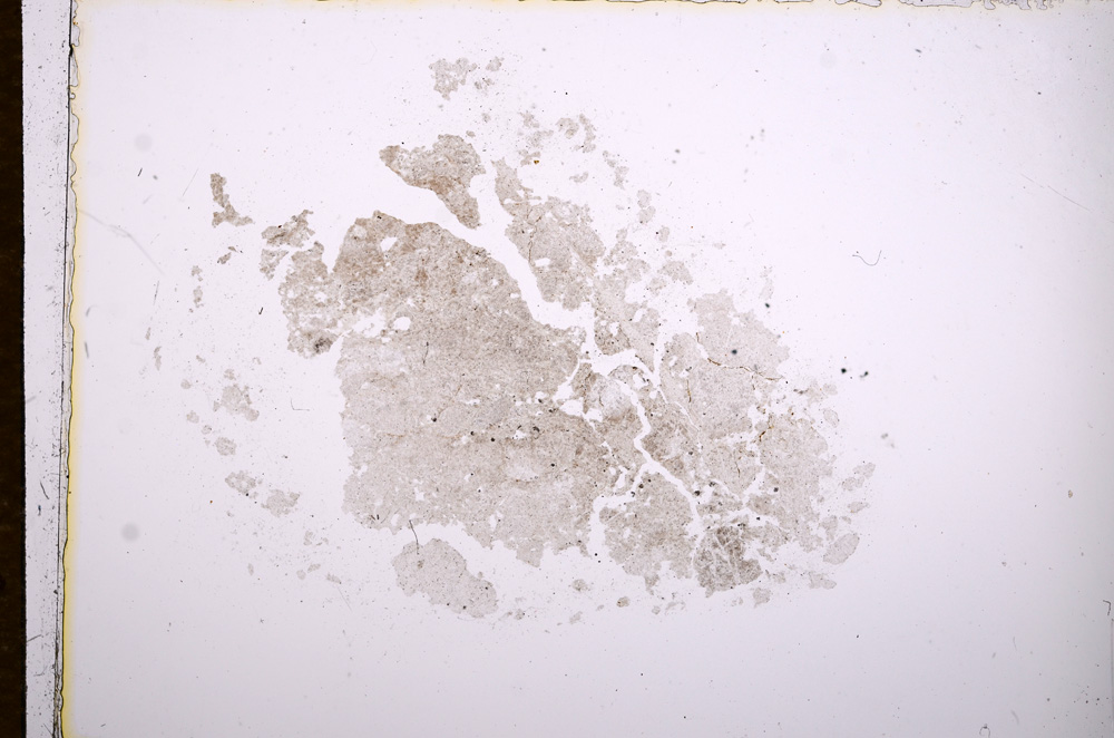Plane Polarized, E14852