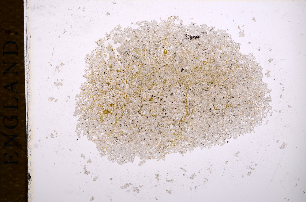 Plane Polarized, E14854