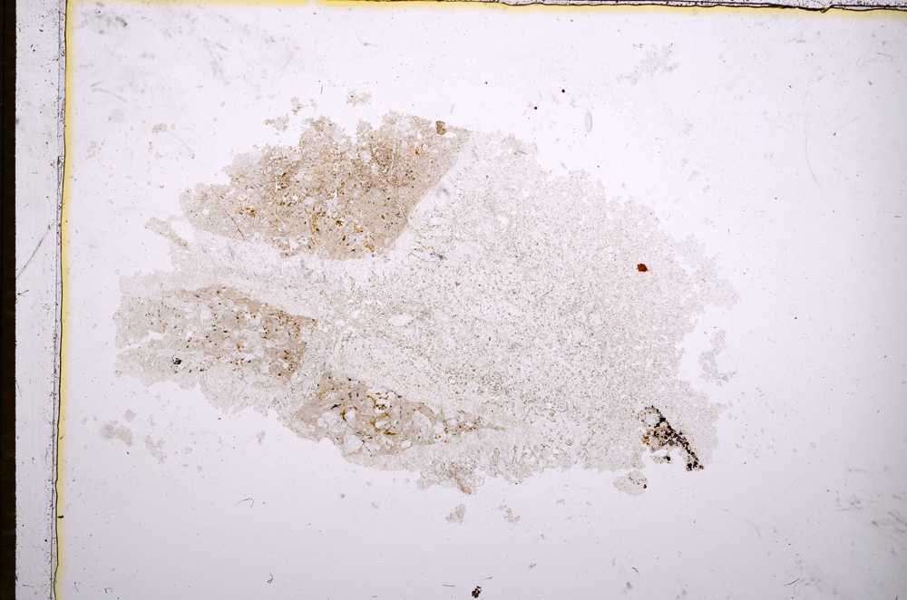 Plane Polarized, E14856