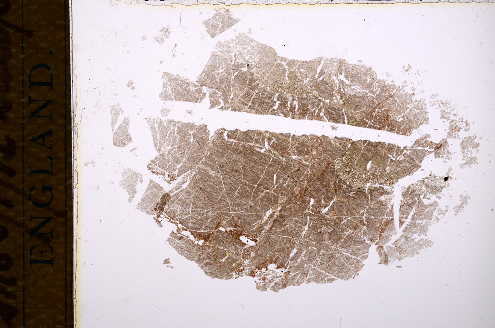 Plane Polarized, E14864