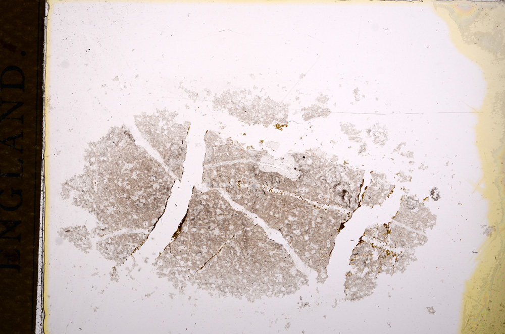 Plane Polarized, E14873