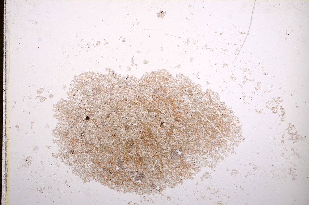 Plane Polarized, E14874