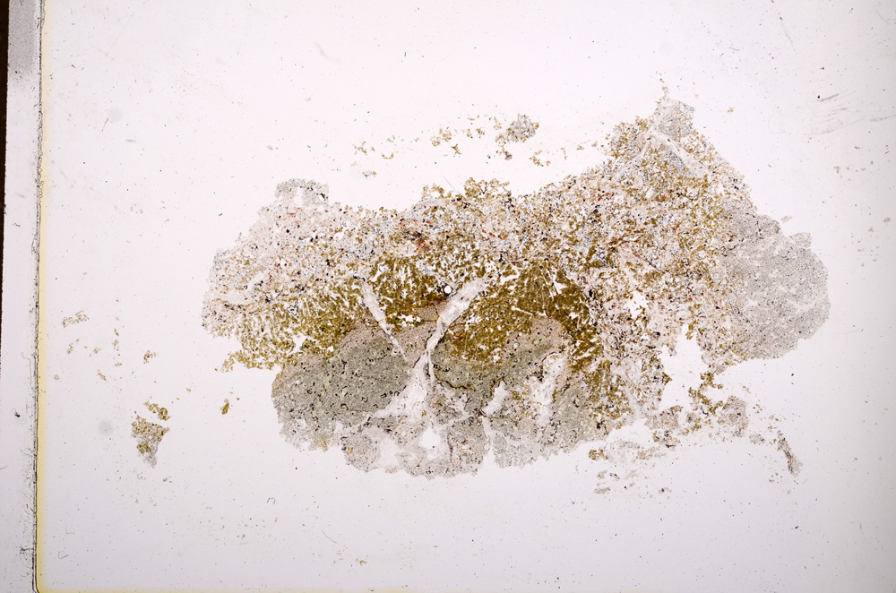 Plane Polarized, E14877