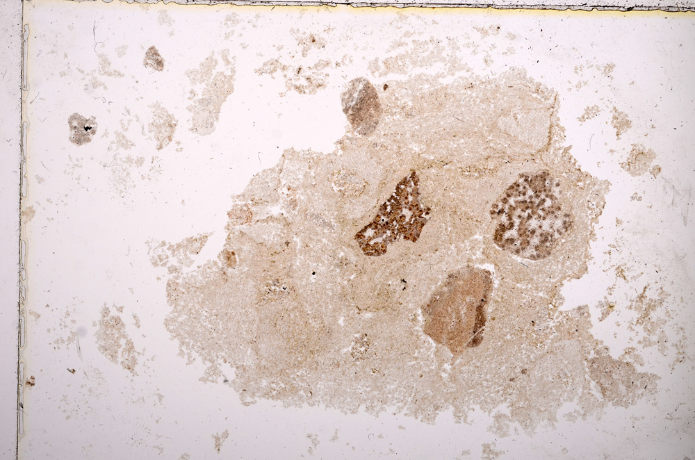 Plane Polarized, E14879