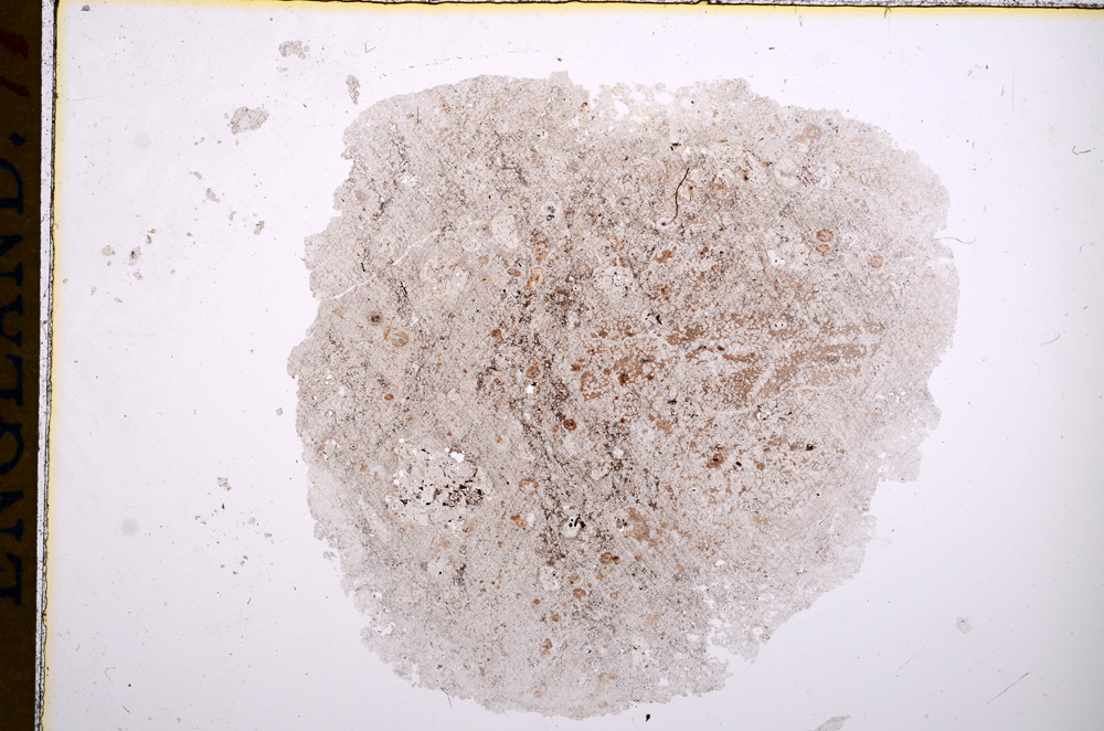 Plane Polarized, E14962