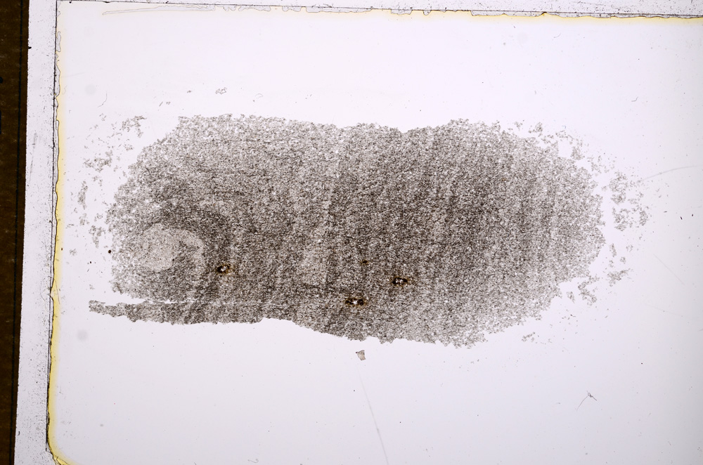 Plane Polarized, E14986