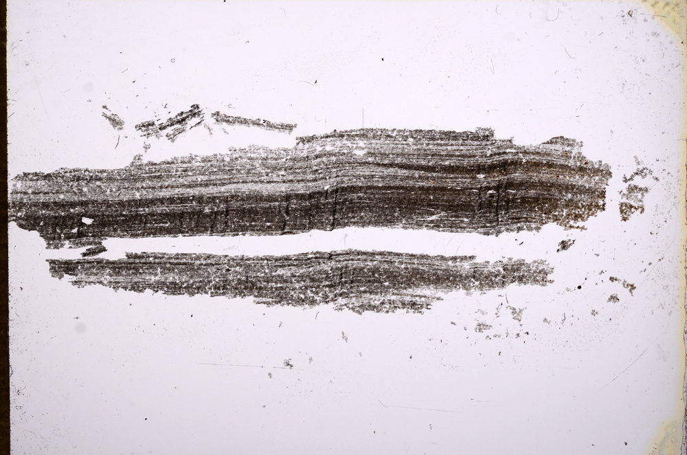 Plane Polarized, E14988