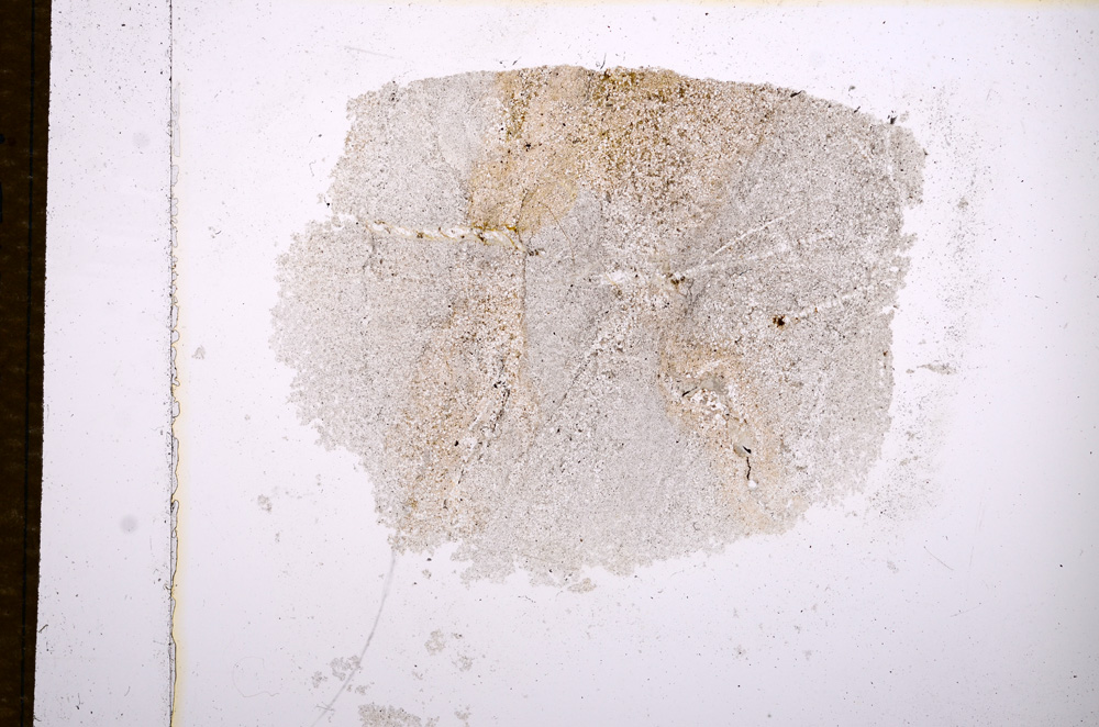 Plane Polarized, E14993