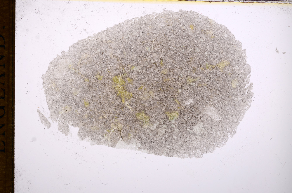 Plane Polarized, E15000