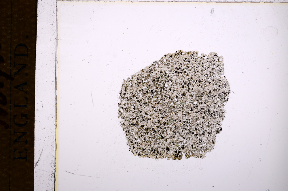 Plane Polarized, E15089