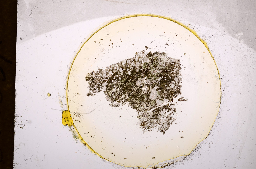 Plane Polarized, E15097