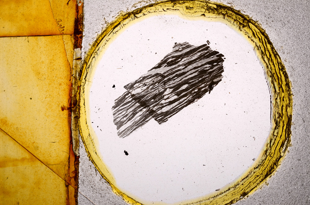 Plane Polarized, E15099