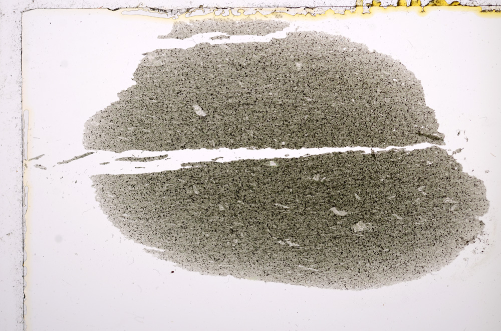 Plane Polarized, E15116