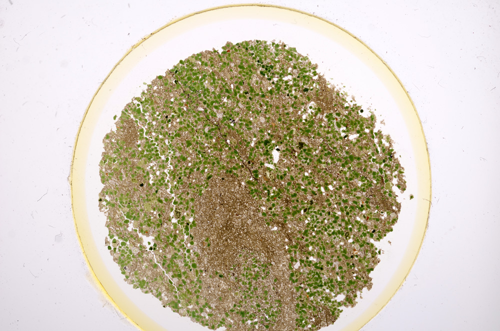 Plane Polarized, E15173