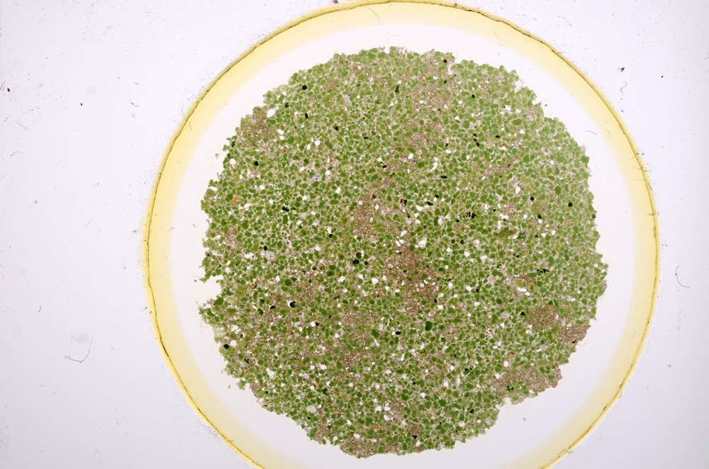 Plane Polarized, E15177