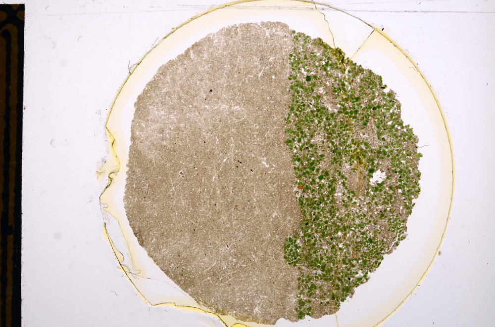 Plane Polarized, E15181