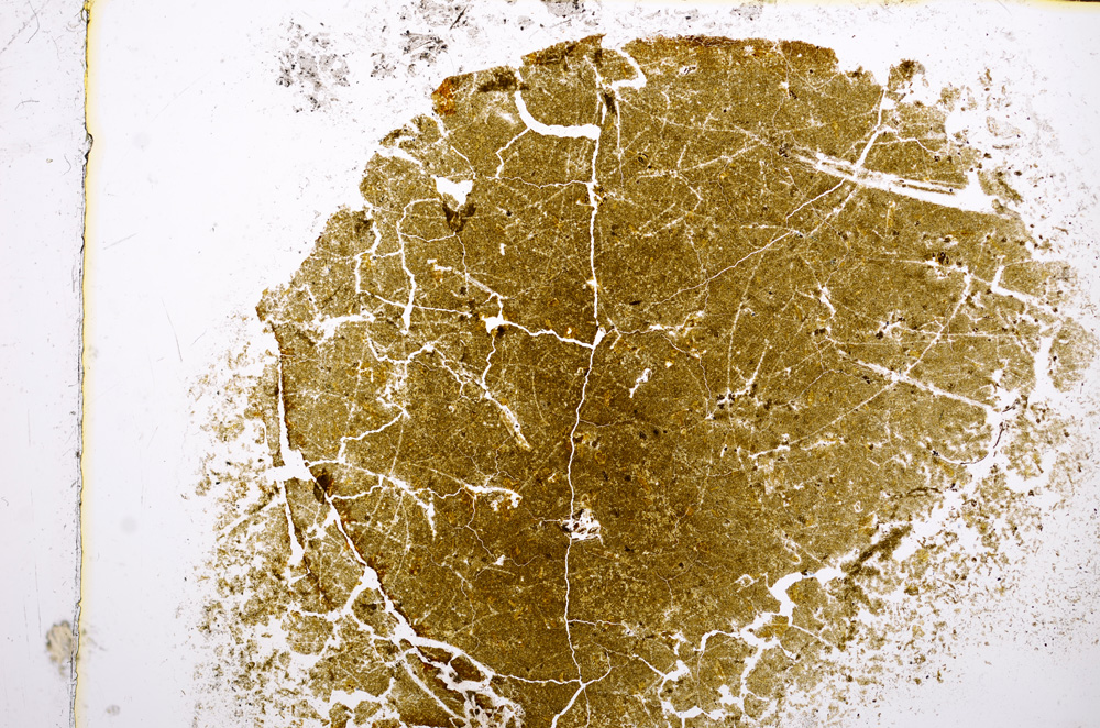 Plane Polarized, E15227