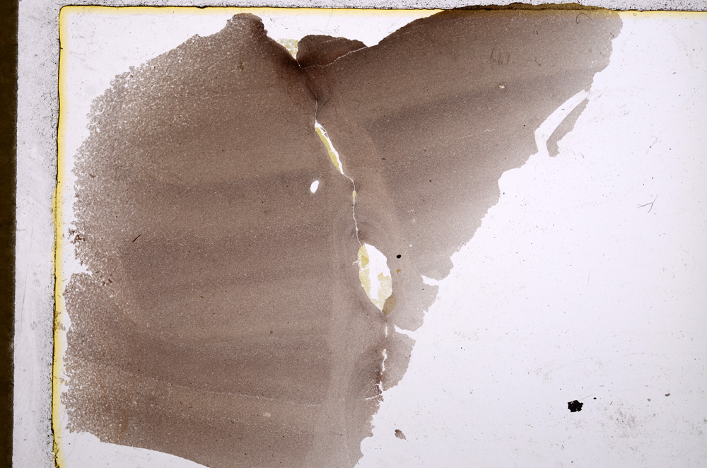 Plane Polarized, E15229