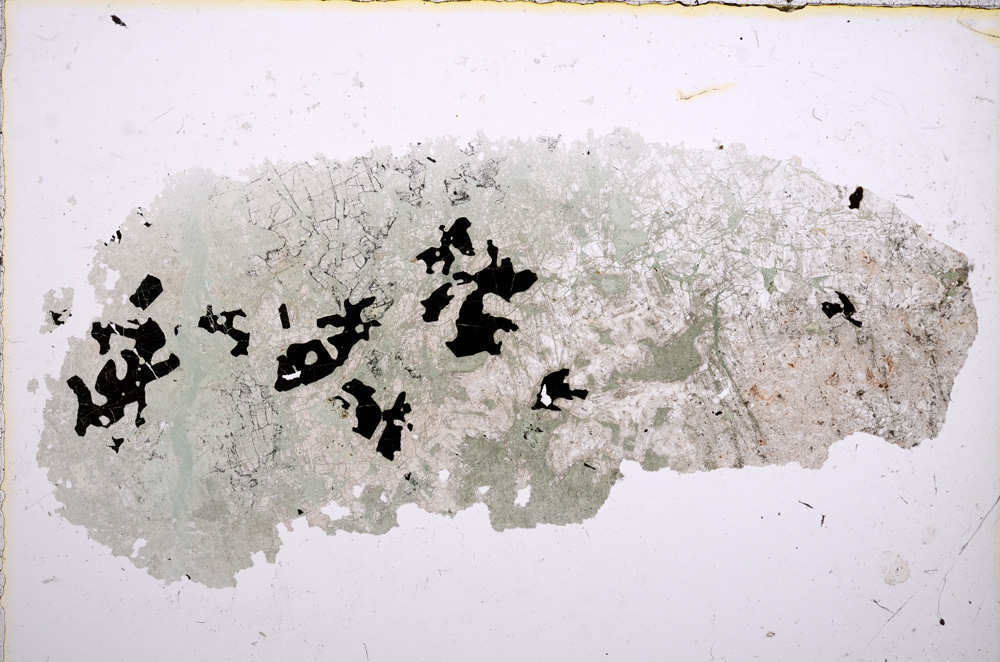 Plane Polarized, E15244