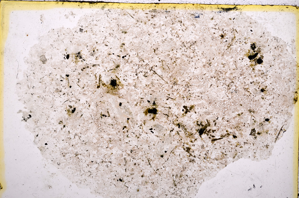 Plane Polarized, E15265