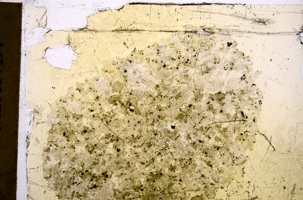 Plane Polarized, E15269