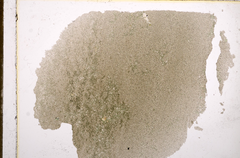 Plane Polarized, E15292