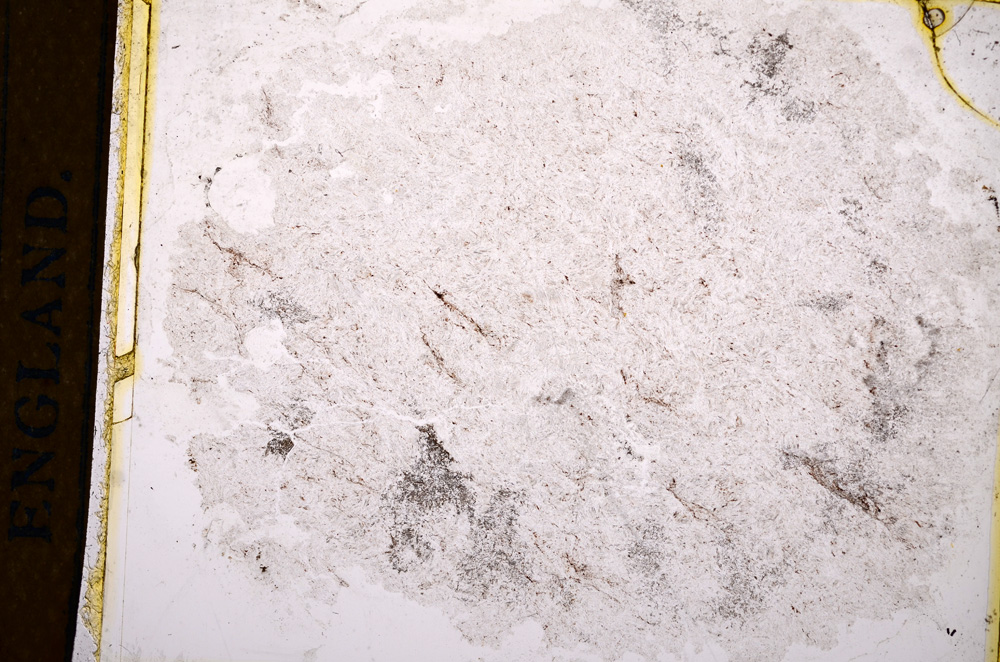 Plane Polarized, E15324