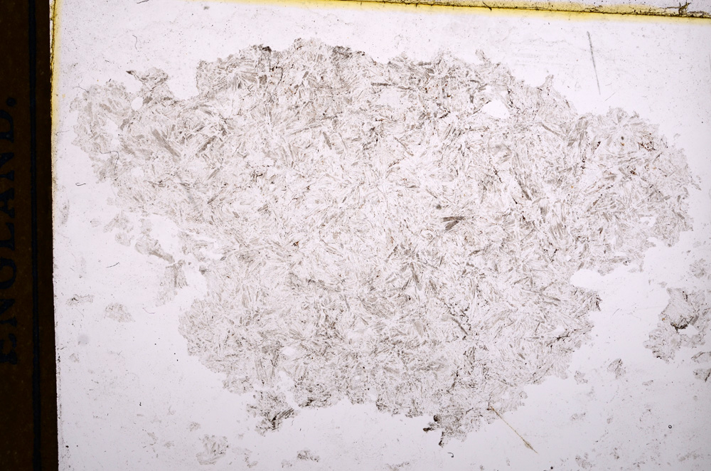 Plane Polarized, E15331