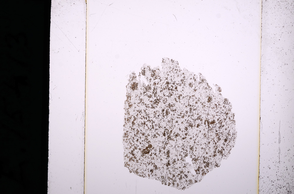 Plane Polarized, E15413