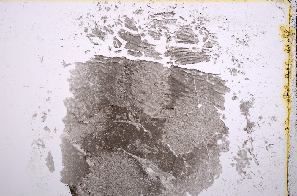 Plane Polarized, E15464