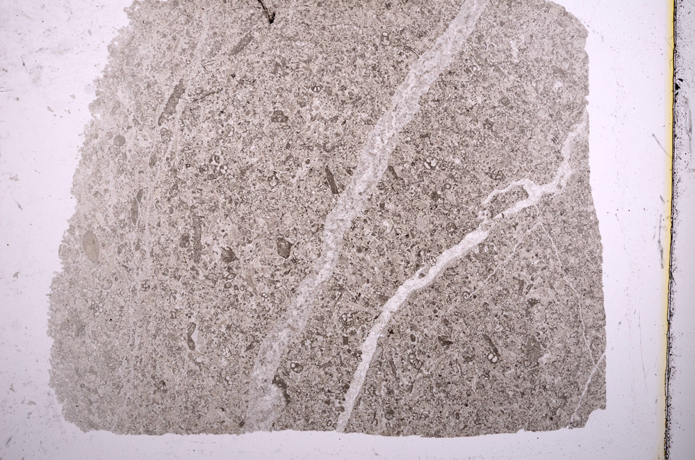 Plane Polarized, E15591