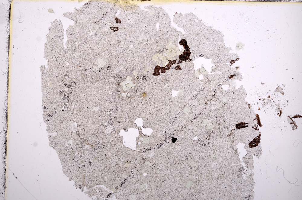 Plane Polarized, E15592