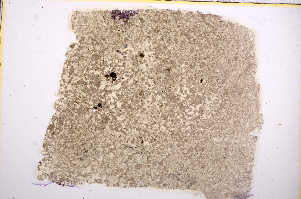 Plane Polarized, E15612