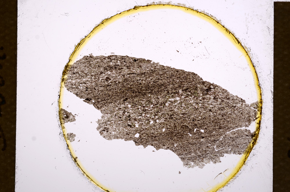 Plane Polarized, E15620