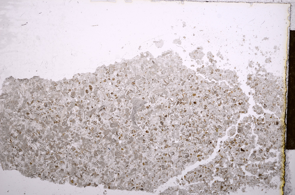 Plane Polarized, E15651