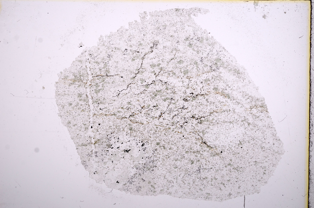 Plane Polarized, E15658