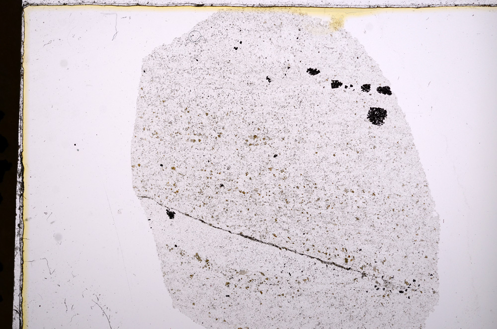 Plane Polarized, E15663