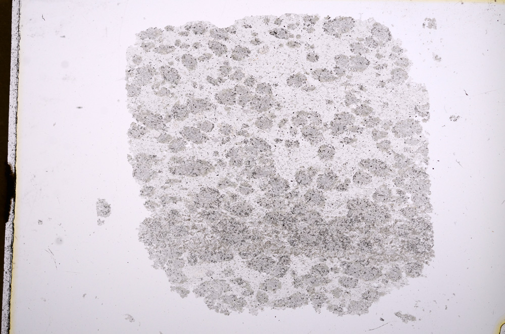 Plane Polarized, E15718