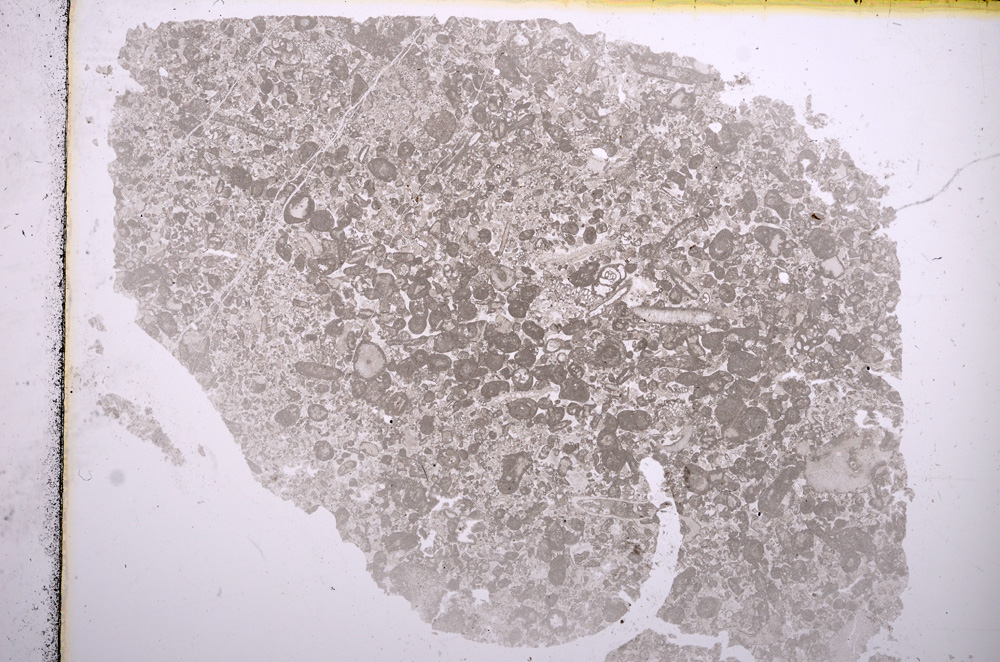 Plane Polarized, E15729